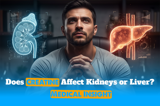 Does Creatine Affect Kidneys or Liver? Medical Insight