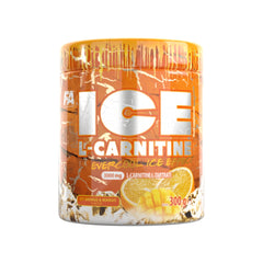 Buy FA ICE L-Carnitine 300g – premium fat burner and energy support supplement in Pakistan