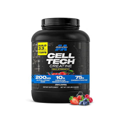 MuscleTech Cell-Tech Creatine | 10g Creatine, Carbs + BCAAs